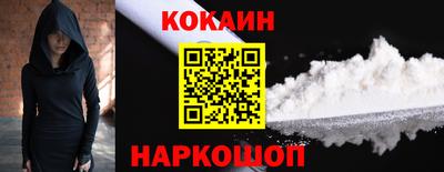 спайс Кингисепп