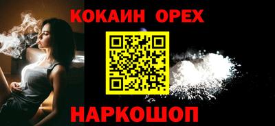 спайс Кингисепп