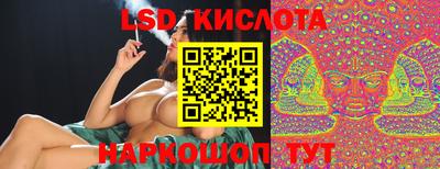 спайс Кингисепп