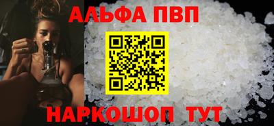 спайс Кингисепп