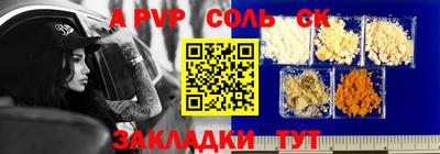 спайс Кингисепп