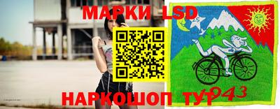 спайс Кингисепп