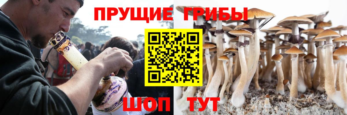 Глазов  Галлюциногенные грибы Magic Shrooms  Псилоцибиновые грибы MAGIC MUSHROOMS  Вход с VPN 